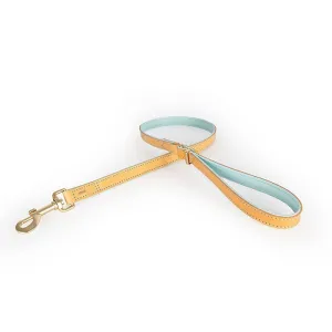 Ezydog Leash Oxford Soft Blue