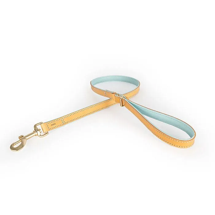 Ezydog Leash Oxford Soft Blue
