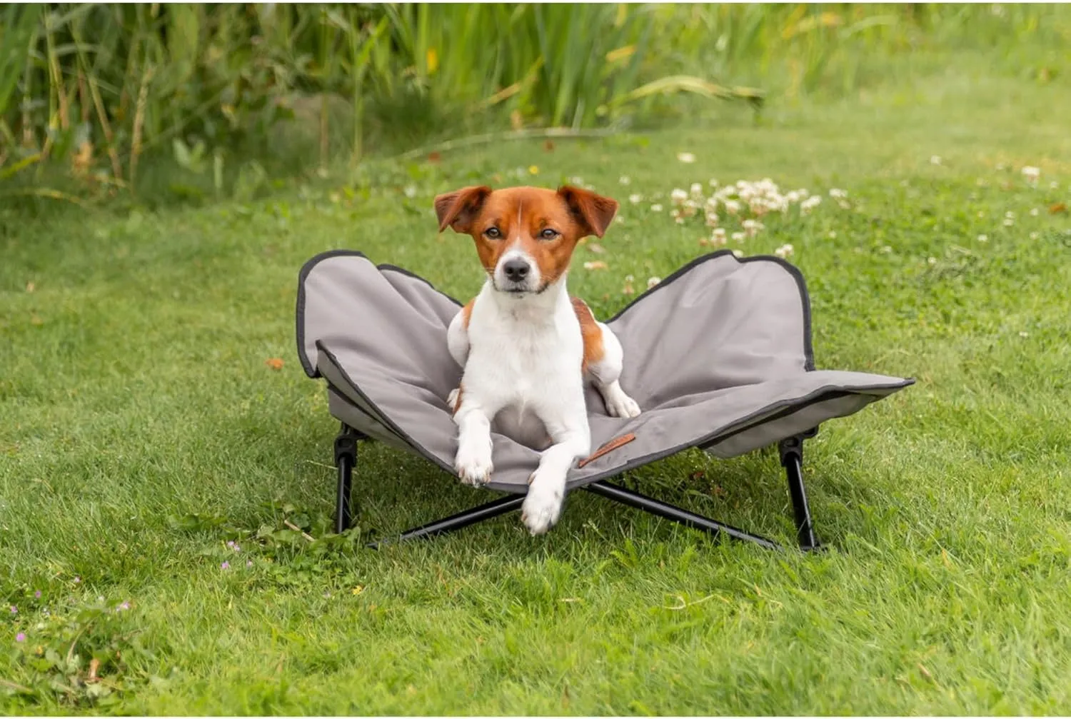 TRIXIE Camping Cot for Dogs, Elevated Dog Bed, Folding Padded Pet Bed, Raised Travel Lounger for Small to Medium Dogs